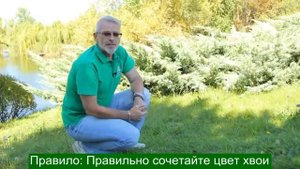 Как размещать хвойные растения на участке.mp4