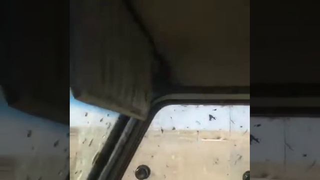 Солончак Бейнеу. Болотоход на базе уаз своими руками