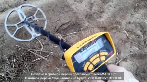 Чешуя и Garrett ace 250 + Nel Tornado. Тест