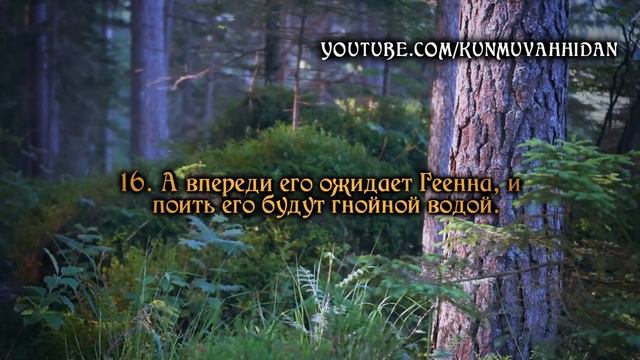 А впереди его ожидает Геенна, и поить его будут гнойной водой. смотреть онлайн