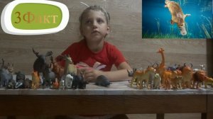 Изучаем диких животных с детьми Утконос . !!!!Интересные факты!!!!!!!!!!!!!