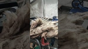биокамин своими руками