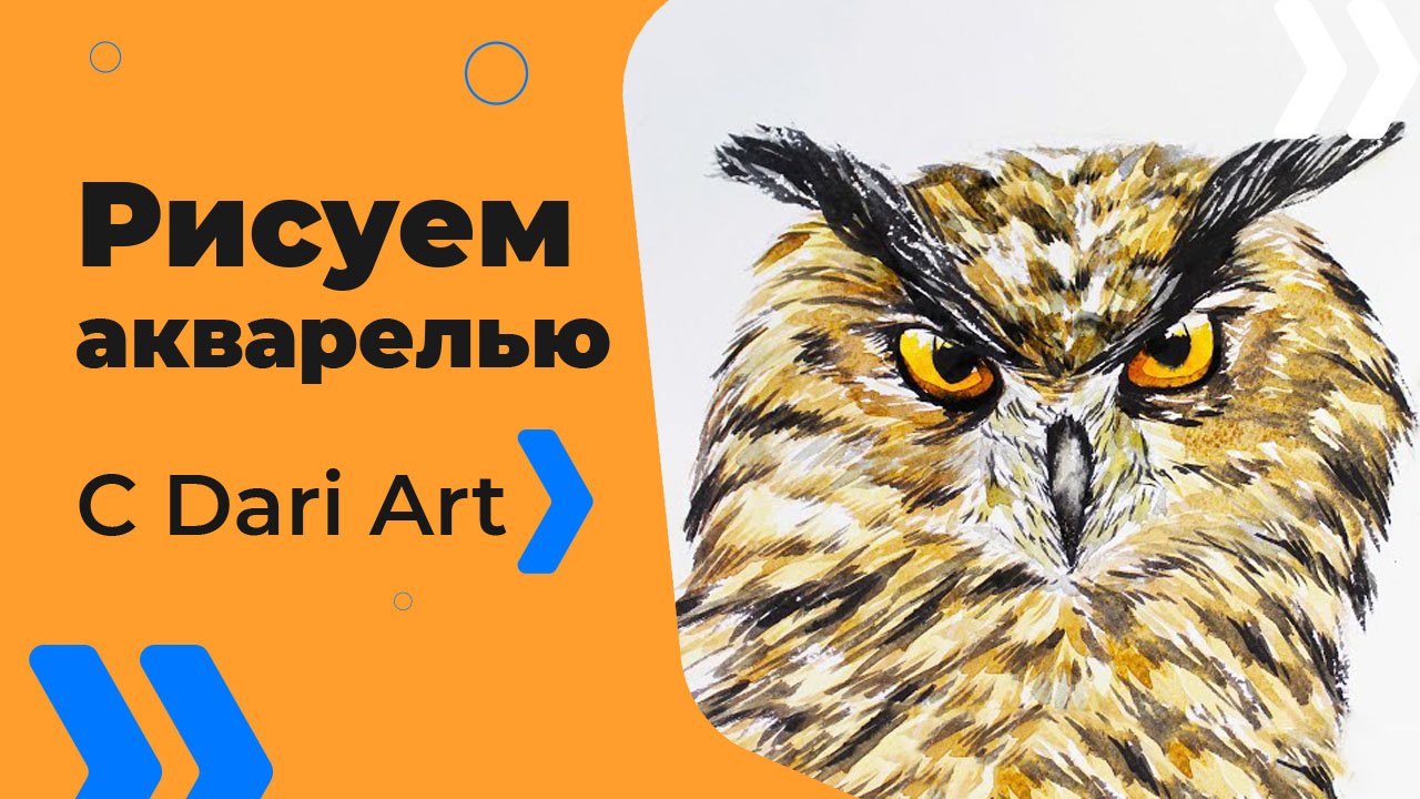 Бесплатный урок рисования! Для начинающих! Как нарисовать сову акварелью!
