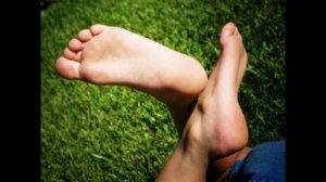 Иволга поёт