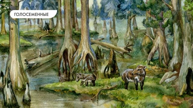 Освоение растениями суши смотреть онлайн