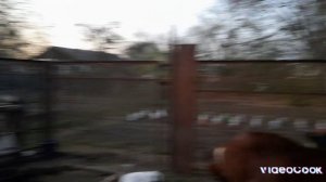 9 апреля. Неожиданный поворот.