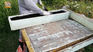 Садовый ящик. Деревянная грядка. Готовлю емкость для высадки клубники. 186с