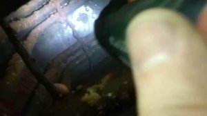 proterm 30 klz протечка змеевика