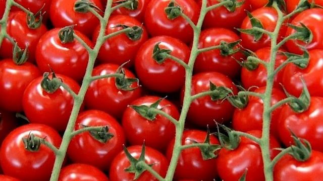 Полезное соседство: В каком порядке сажать овощи, чтобы они дали отменный урожай