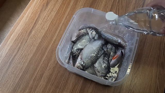 КАК вялить рыбу? Сырой посол или КАК Я вялю ВЯТСКУЮ рыбу! Белая Холуница (Ловим, Солим, Сушим) ?✅ смотреть онлайн