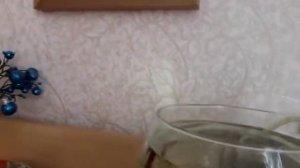 Условие содержания Аквариумной рыбки Петушок