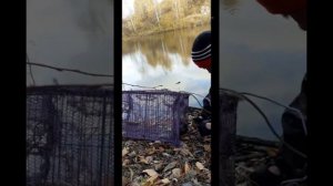 ловля Раков в карьере, на самодельную РАКОЛОВКУ 😉