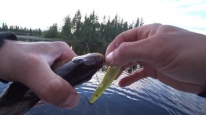 Рыбалка на Плато Путорана. Анадякан горная река.