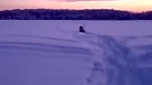 мотособака