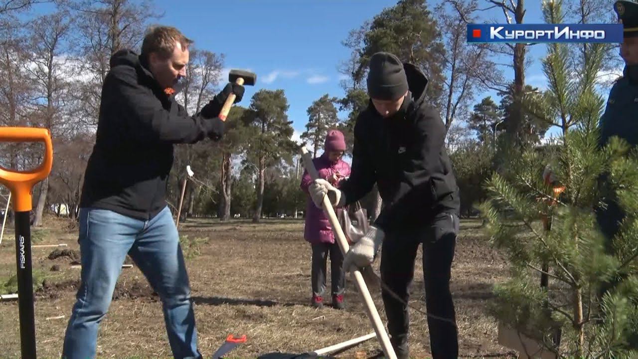 «Курортный берег» провёл День благоустройства на пляже «Сестрорецкий»