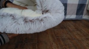 Теплая лежанка для кошек