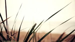 Konstantin LEM - НА ДАЛЬНЕМ БЕРЕГУ (Acoustic guitar)