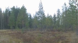 Две верши.  Сравнительный тест, странный результат в конце.