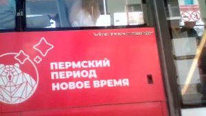 41 автобус паз-вектор-некст