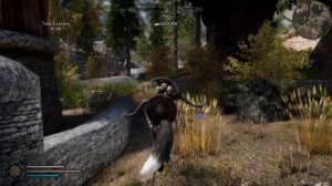 SSE picho ENB for NLA ,  Ryn's Whiterun CIty Limits, Ryn's Western Watchtower and Ryn's farms