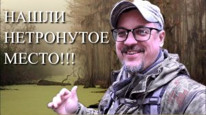 КОГДА НАШЛИ НЕТРОНУТОЕ МЕСТО! КОП НА КРАЮ ПРУДА!