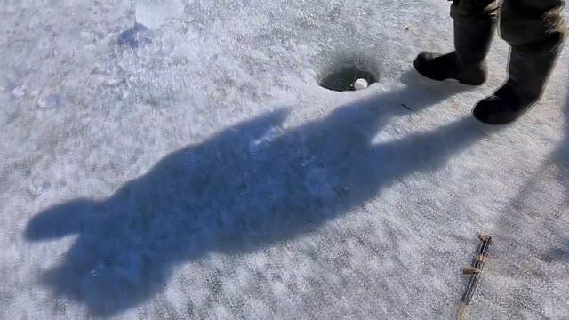 ЩУКА РВЕТ ХАПУГИ! РЫБЫ ПРОСТО ВАЛОМ! Рыбалка на хапугу хлопок! смотреть онлайн