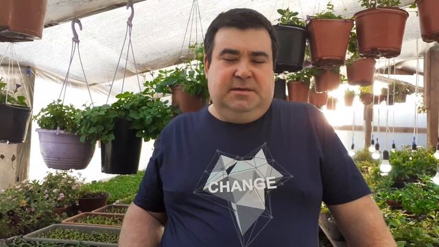 Сроки посева семян цветов в Сибири (Иркутск). смотреть онлайн