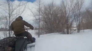 Толкач "ТТ"Алабай