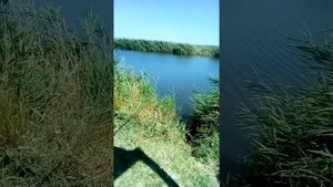 Рыбалка За Садками водоём Кресты.