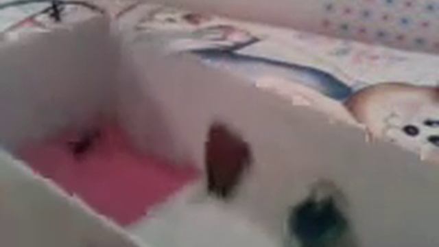 Большой домик для щенка Диппера! смотреть онлайн