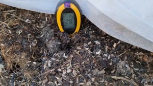 Идеальная тёплая грядка и как она работает. Урожай превысит все ожидания!