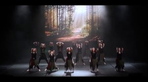 TODES "ДРИАДЫ"