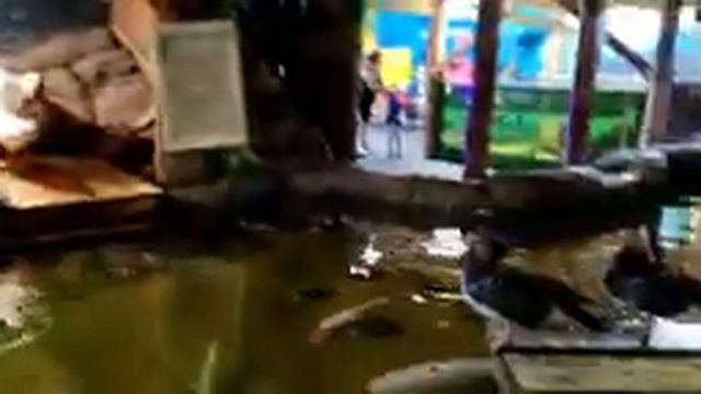 МЕГА КАЗАНЬ | ОКЕАНАРИУМ | СОФИЯ В ВОСТОРГЕ смотреть онлайн