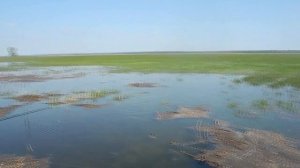 Рыбалка в Астрахани во время разлива (в поле)