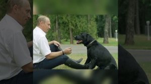 Top 7 dogs Of Russian president Vladimir Putin