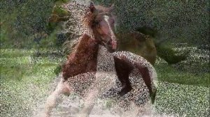 Ах вы кони,мои кони . ....