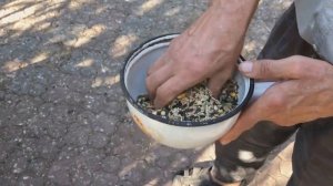 ГОЛУБИ КРИВОГО РОГА / ЛИНЬКА ГОЛУБЕЙ, ОСЕНЬ / ВИТАМИНЫ ДЛЯ ГОЛУБЕЙ