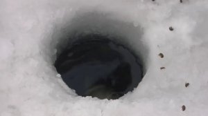 Мормышка  Зимняя рыбалка на Окуня  Озеро Синеглазово