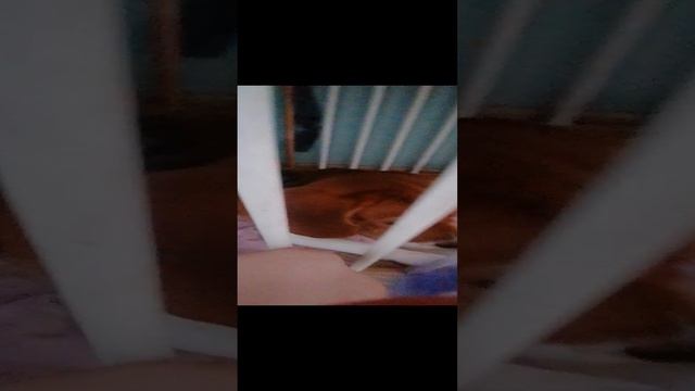 VID_20240115_131029.mp4 смотреть онлайн