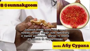 Лечение бесплодии. шейх Абу Сурака