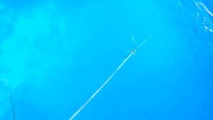 Коралловый пляж Xperience Kiroseiz Parkland, Sharm Al Shiekh, Египет