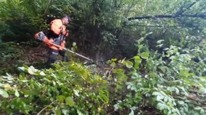 555 RXT HUSQVARNA 11, 942 rpm / in the forest cleared it