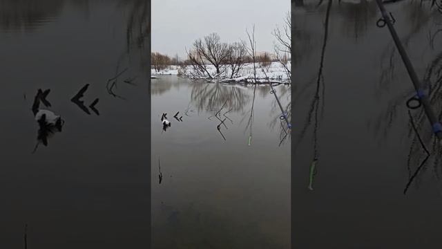 Силиконовые приманки от BearKing с Алиэкспресс смотреть онлайн