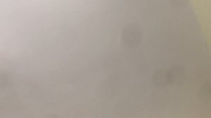 ЭД9Э 0021 Летит на Большой скорости