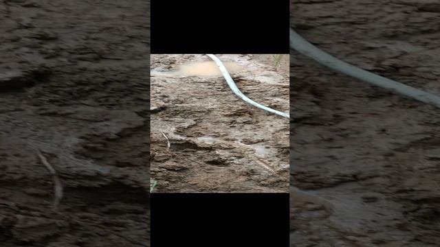 Ввод водоснабжения в дом. Глубина трубы 1,8м.Укладка электрического кабеля в гофре.Глубина 0,5м.