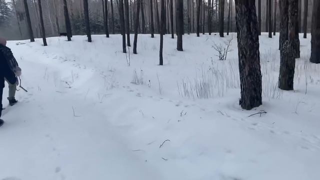 Донбасс.Щурово.База Незабудка 2022.Зимний отдых в лесу! смотреть онлайн