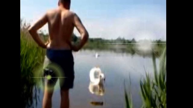 Белые кораблики смотреть онлайн