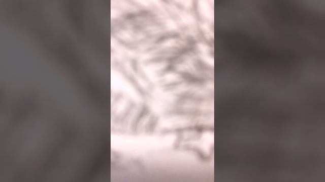 как нарисовать киви #легко #красиво #птица #киви смотреть онлайн