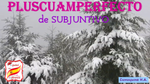 115. Pluscuamperfecto de Subjuntivo. Уровень B1-B2.