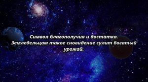 К чему снится утки.mp4